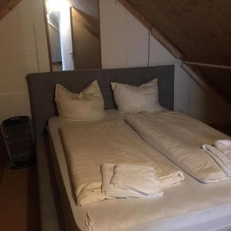 Zimmer Im Dachgeschoss Кайзерслаутерн Экстерьер фото